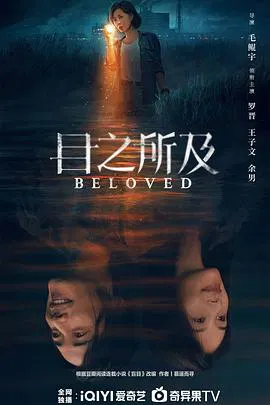 【国产剧】目之所及